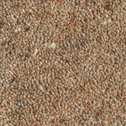 Hathaway_Berber_Supreme_Kabul__%28W4%29_detail_1.jpg