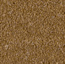 axis-ginger-127x125%283%29.jpg