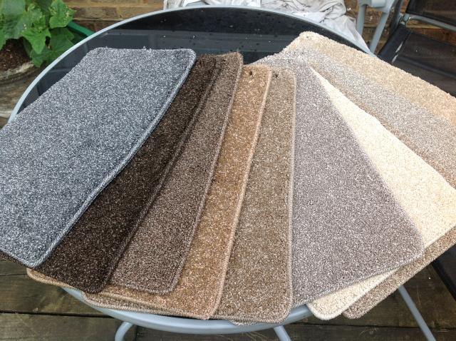 carpettemptation.JPG